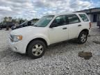 2012 Ford Escape XLS