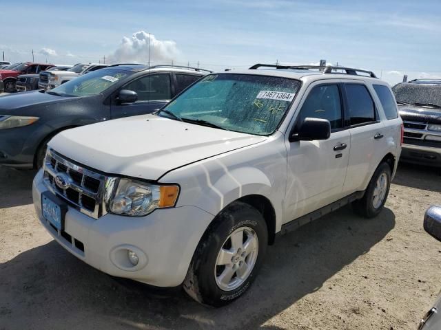 2011 Ford Escape XLT