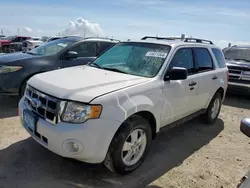 Carros salvage para piezas a la venta en subasta: 2011 Ford Escape XLT