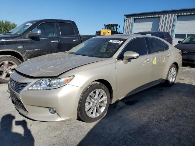 2013 Lexus ES 300H