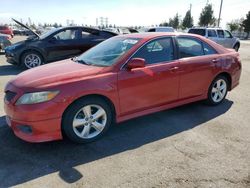 Salvage cars for sale at Rancho Cucamonga, CA auction: 2011 Toyota Camry Base