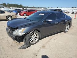 Nissan salvage cars for sale: 2010 Nissan Maxima S