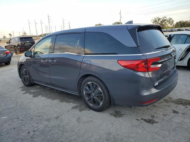 2024 Honda Odyssey Elite