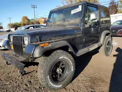 Vehiculos salvage en venta de Copart New Britain, CT: 1993 Jeep Wrangler / YJ