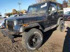 1993 Jeep Wrangler / YJ