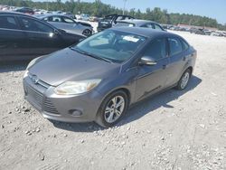 Ford Focus Seda salvage cars for sale: 2013 Ford Focus SE