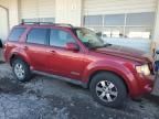 2008 Ford Escape Limited