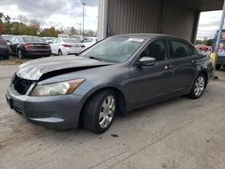 2010 Honda Accord EX en venta en Fort Wayne, IN