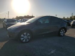 2023 Tesla Model Y en venta en Indianapolis, IN