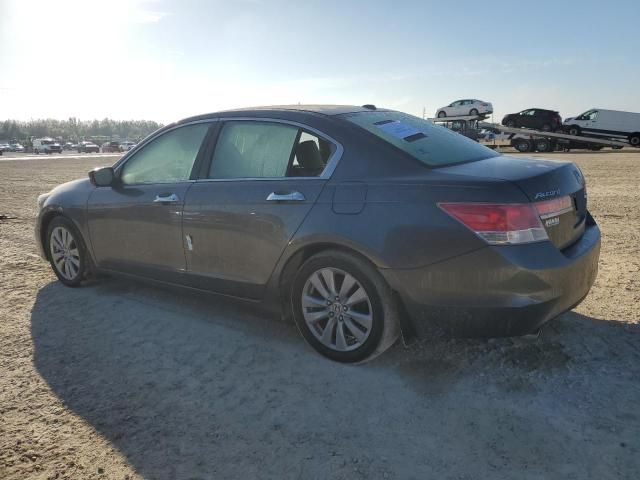 2011 Honda Accord EXL