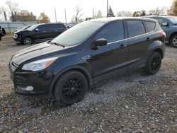 Ford Vehiculos salvage en venta: 2014 Ford Escape SE