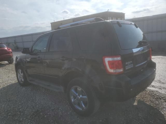 2011 Ford Escape Limited