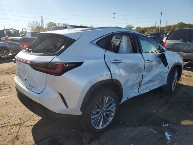 2024 Lexus NX 350H Base