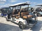 2022 Golf Cart