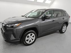 2024 Toyota Rav4 LE en venta en Van Nuys, CA