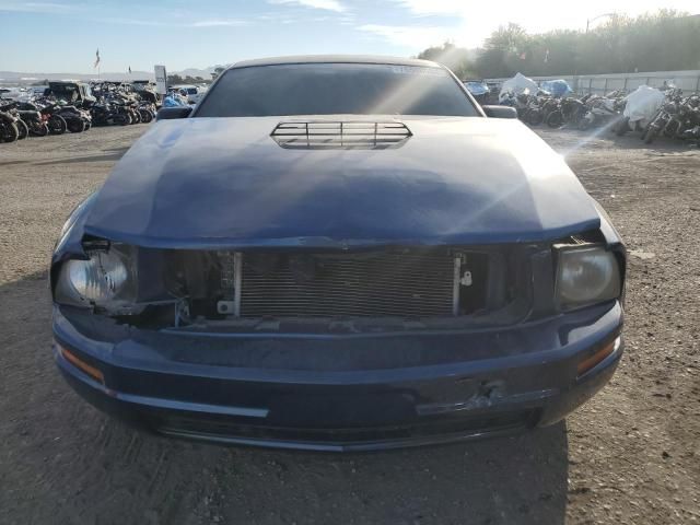 2007 Ford Mustang