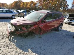 Ford Escape sel salvage cars for sale: 2013 Ford Escape SEL