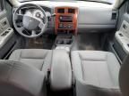 2005 Dodge Dakota Quad SLT