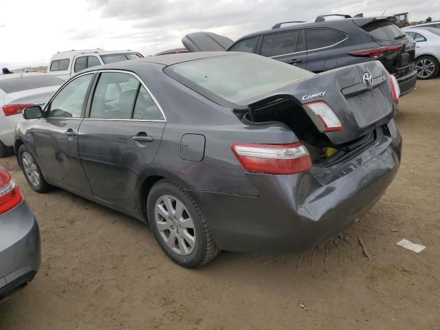 2009 Toyota Camry Hybrid