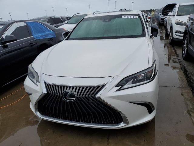 2019 Lexus ES 350