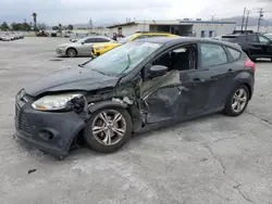 Salvage cars for sale at Sun Valley, CA auction: 2014 Ford Focus SE