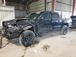 Toyota salvage cars for sale: 2023 Toyota Tacoma Double Cab