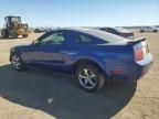 2005 Ford Mustang