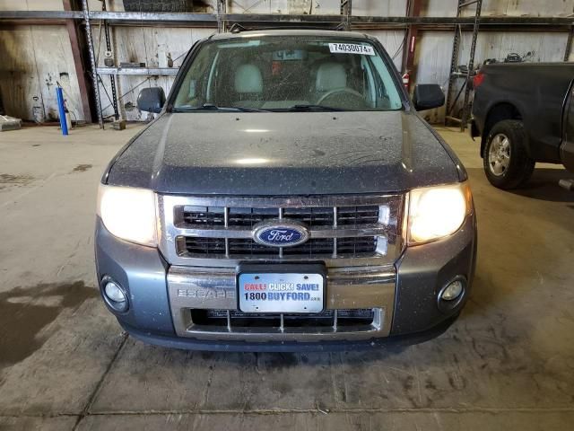 2010 Ford Escape Limited