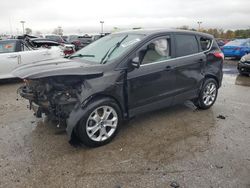 Ford salvage cars for sale: 2013 Ford Escape SEL