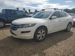 Honda salvage cars for sale: 2010 Honda Accord Crosstour EXL