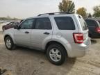 2012 Ford Escape XLS