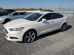 Salvage cars for sale at Ottawa, ON auction: 2013 Ford Fusion SE