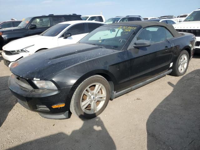 2011 Ford Mustang