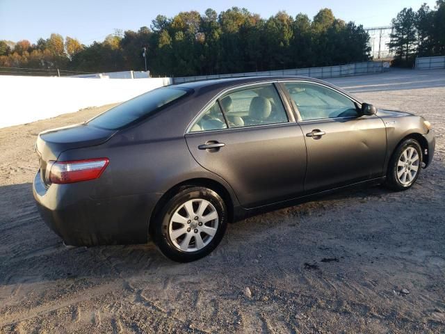 2009 Toyota Camry Hybrid