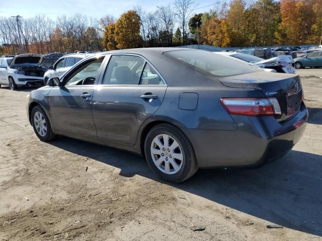 2008 Toyota Camry Hybrid