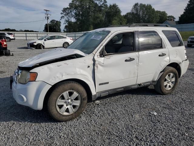 2008 Ford Escape HEV