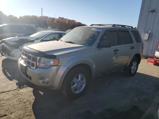 2010 Ford Escape XLT