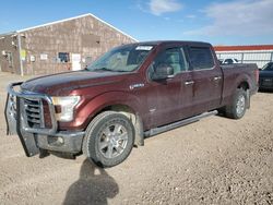 Salvage cars for sale at Rapid City, SD auction: 2016 Ford F150 Supercrew