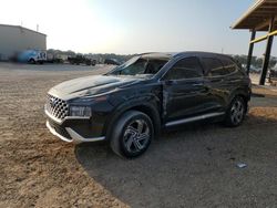 Hyundai salvage cars for sale: 2022 Hyundai Santa FE SEL