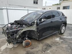 Lexus nx 250 salvage cars for sale: 2023 Lexus NX 250