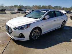 Salvage cars for sale at Louisville, KY auction: 2019 Hyundai Sonata Hybrid