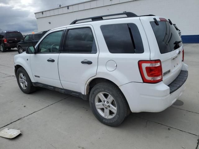 2008 Ford Escape HEV