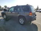 2005 Ford Escape XLT