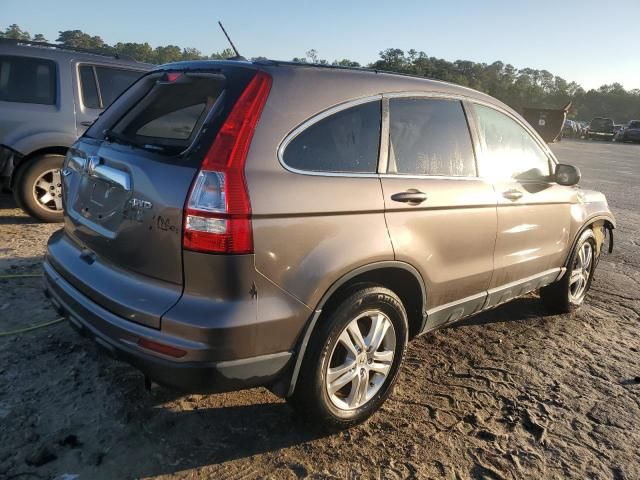 2010 Honda CR-V EXL