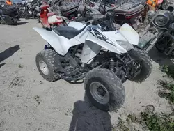 2018 Honda TRX250 X en venta en Arcadia, FL