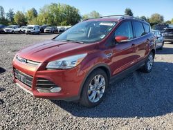 Ford salvage cars for sale: 2014 Ford Escape Titanium