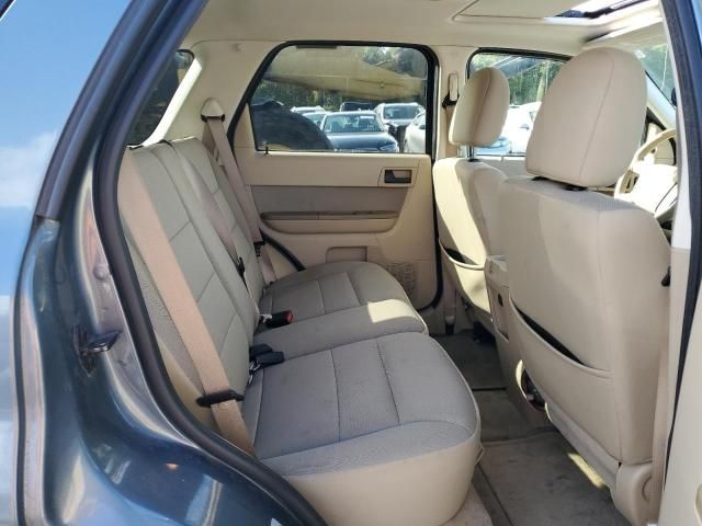 2011 Ford Escape XLT