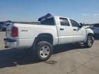 2011 Dodge Dakota SLT