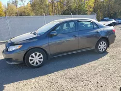 Toyota Corolla salvage cars for sale: 2009 Toyota Corolla Base