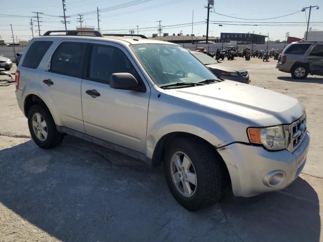 2009 Ford Escape XLT